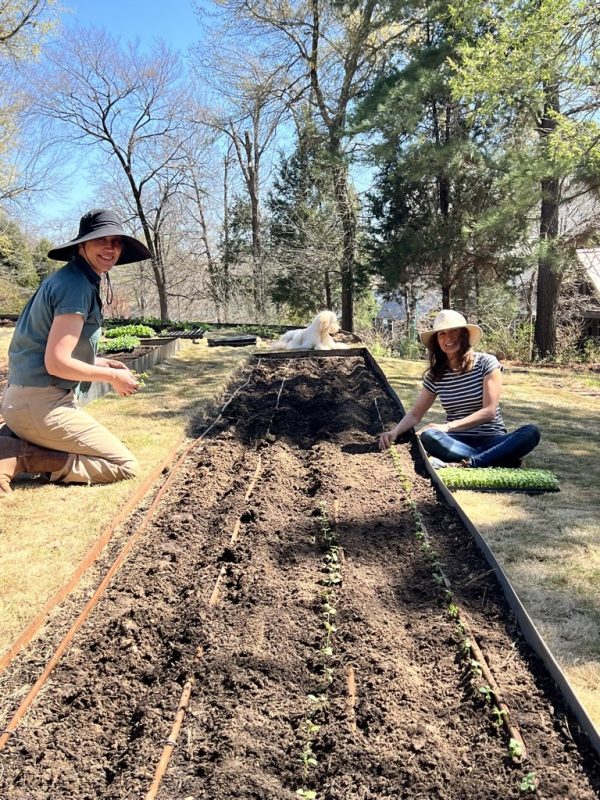 Garden Consultations