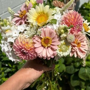 Predesigned Cut Flower Garden