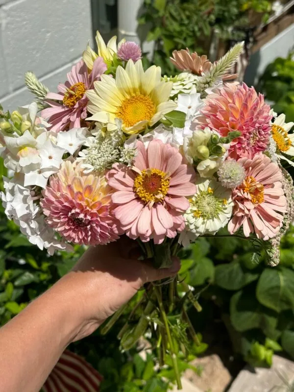 Cut Flower Garden Kits