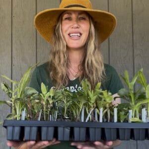 Spring Cut Flower Kits